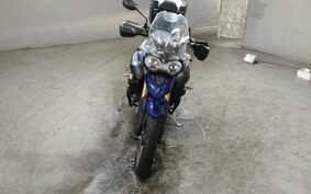 TRIUMPH TIGER 800 2014 TRE15