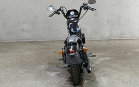 HARLEY XL1200NS 2019 LP3