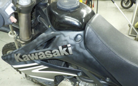 KAWASAKI KLX250 LX250E