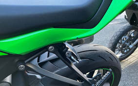 KAWASAKI NINJA ZX-6R 2023 ZX636G