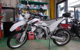 YAMAHA WR250R 2008 DG15J