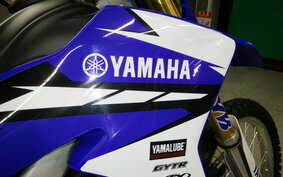 YAMAHA WR250R DG15J