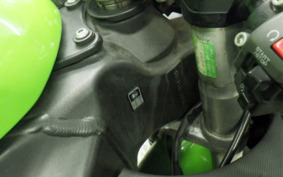 KAWASAKI NINJA ZX-6R 2007 ZX600P