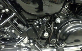 KAWASAKI W800 CAFE 2021 EJ800B