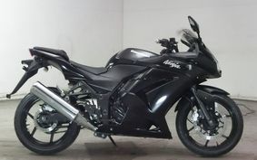 KAWASAKI NINJA 250R 2009 EX250K