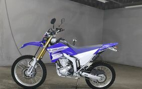 YAMAHA WR250R DG15J