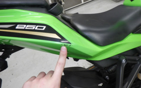 KAWASAKI ZX-25R ZX250E