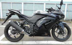 KAWASAKI NINJA 250R 2011 EX250K