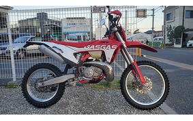 GASGAS EC250 GCA2