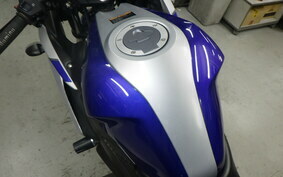 YAMAHA YZF-R25 RG10J