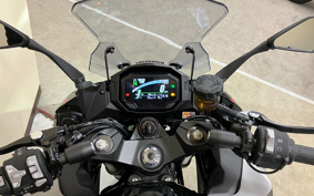 KAWASAKI NINJA 1000 SX 2024 ZXT02K