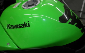 KAWASAKI NINJA 250R EX250K