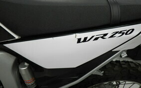 YAMAHA WR250R DG15J