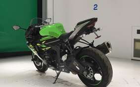 KAWASAKI NINJA ZX-6R A 2019 ZX636G