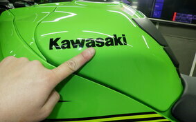 KAWASAKI ZX 10 NINJA ABS 2019 ZXT02E