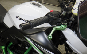 KAWASAKI Z250 ER250C