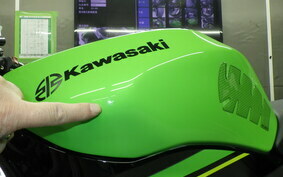 KAWASAKI NINJA ZX-6R A 2019 ZX636G