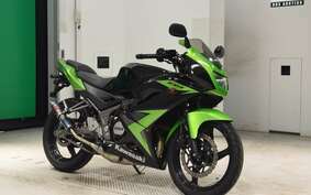 KAWASAKI NINJA150RR KR150P