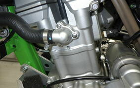 KAWASAKI KLX250 Gen.2 LX250S