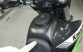 KAWASAKI KLX250 Gen.2 LX250S