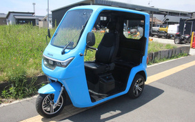 OTHER EV TUKTUK