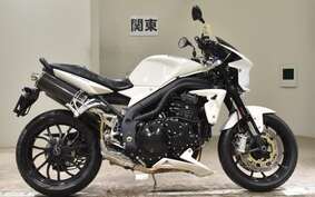 TRIUMPH SPEED TRIPLE 2008 E5865R