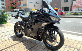 KAWASAKI NINJA ZX 25 ZX250E