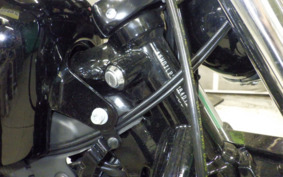 HARLEY XL1200NS 2021