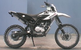 YAMAHA WR125R 2010 DE07