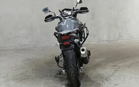 SUZUKI DL650 ( V-Strom 650 ) 2020 C733A