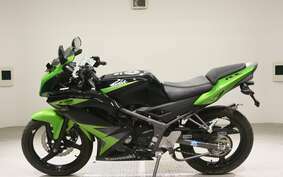 KAWASAKI NINJA150RR KR150P