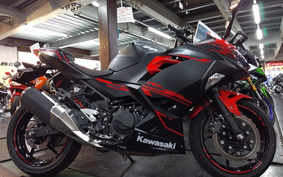 KAWASAKI NINJA EX250P