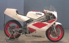 OTHER TZ250 3AK