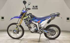 YAMAHA WR250R DG15J