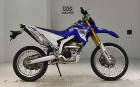 YAMAHA WR250R DG15J