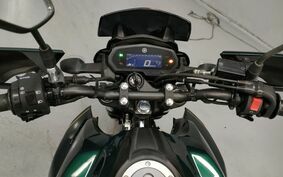 YAMAHA FZS25 不明