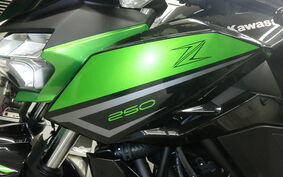 KAWASAKI Z250 Gen.2 EX250Y