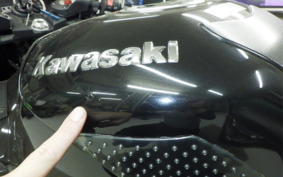 KAWASAKI ZX 1400 NINJA R 2012