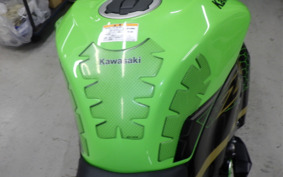 KAWASAKI NINJA ZX-6R A 2020 ZX636G