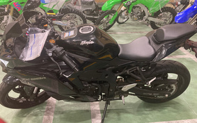 KAWASAKI NINJA ZX 25 ZR250E