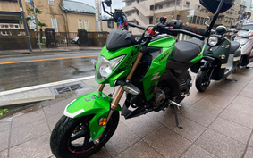 KAWASAKI Z125 PRO BR125H