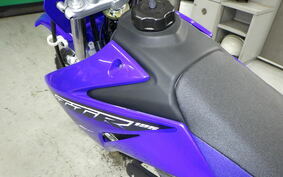 YAMAHA TT-R125LWE CE21