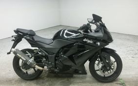 KAWASAKI NINJA 250R 2009 EX250K