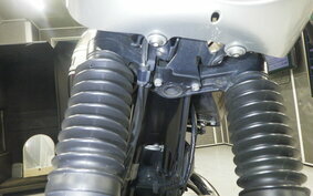 KAWASAKI W800 CAFE 2020 EJ800B