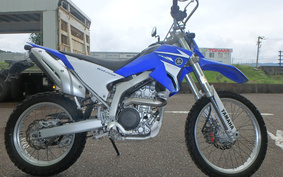 YAMAHA WR250R DG15J