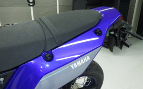 YAMAHA TENERE 700 2024 DM13J