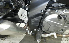 SUZUKI DL650 ( V-Strom 650 ) A 2020 C733A