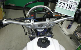 YAMAHA TT250R RAID 4GY