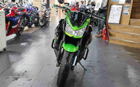 KAWASAKI Z1000 2010 ZRCD1X