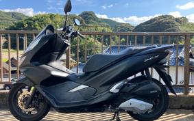 HONDA PCX125 JF81